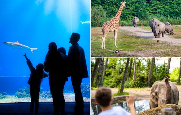 2 tickets voor Koninklijke Burgers' Zoo!