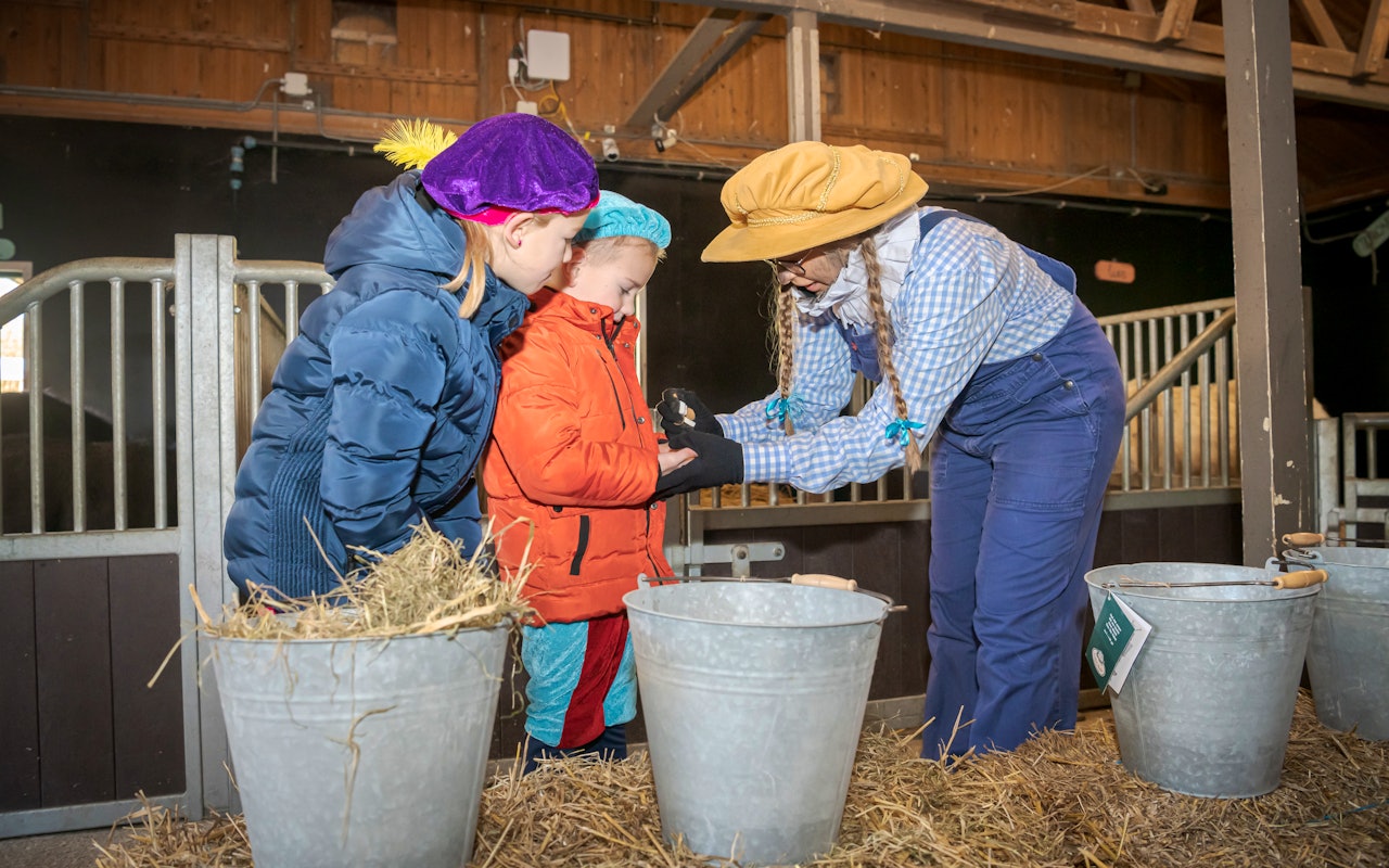 2 tickets voor Avonturenboerderij Molenwaard in Sinterklaassferen!