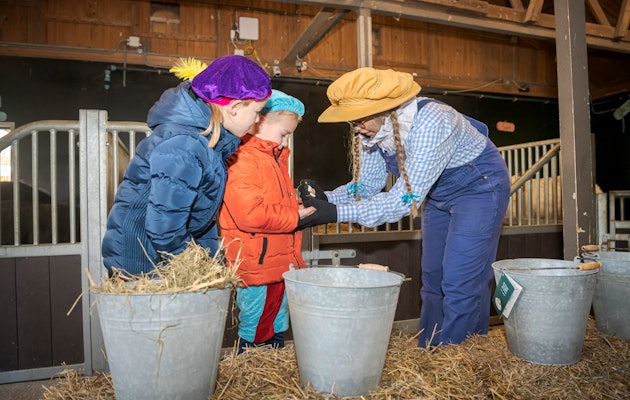 2 tickets voor Avonturenboerderij Molenwaard in Sinterklaassferen!
