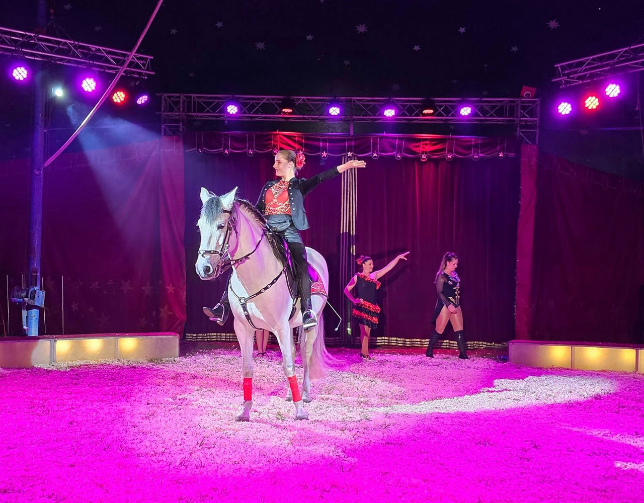 Circus Renz Berlin. | Tot 73% Korting | Ticketveiling.nl