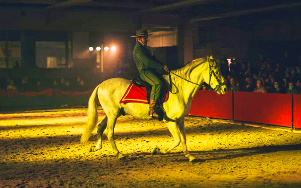 2 tickets voor Dancing with Horses in Pelt, Lier of Udenhout!