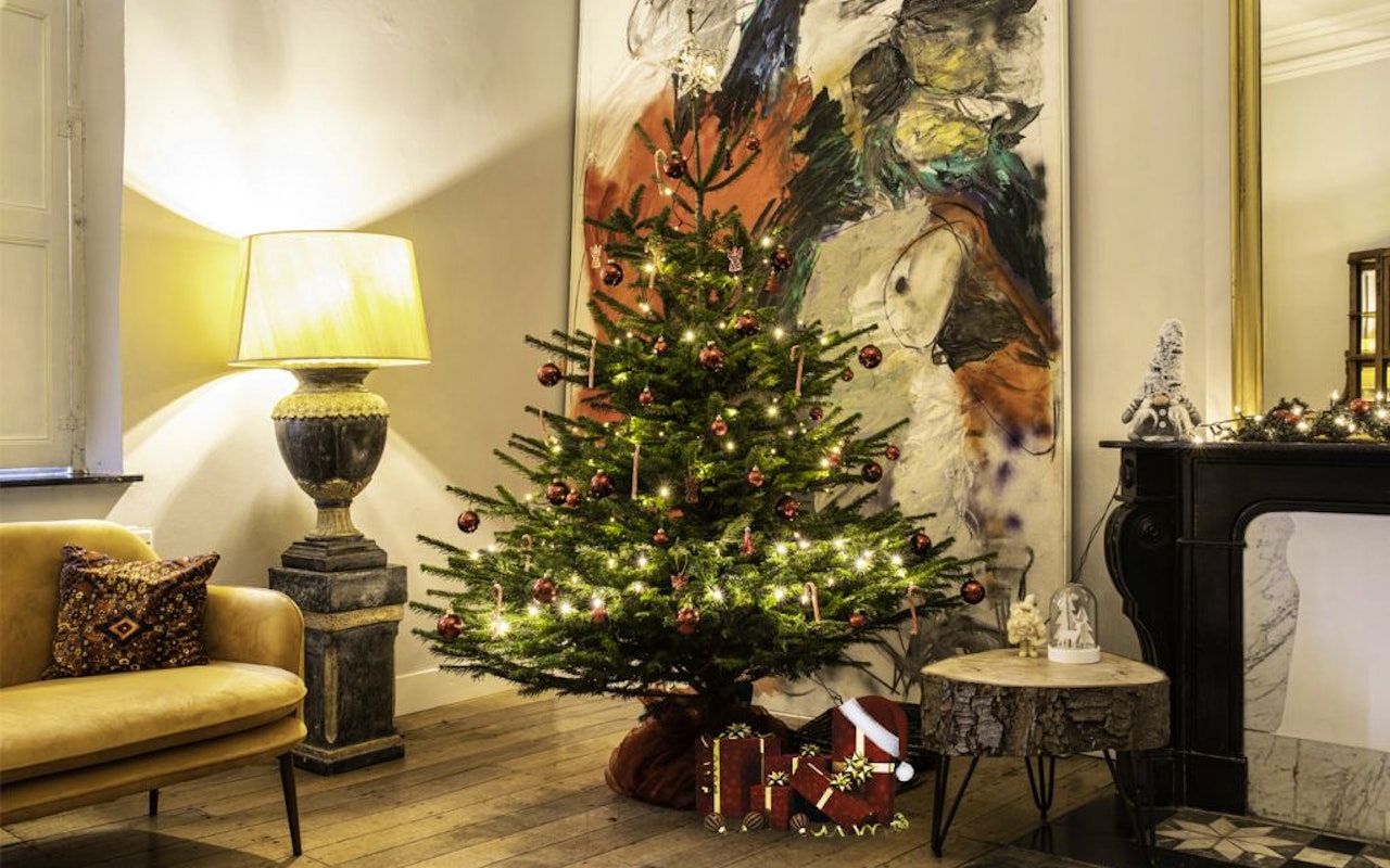 Nordmann-Spar Kerstboom 125-150 cm - zonder Kluit!