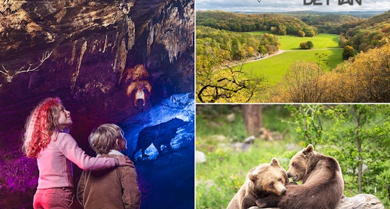 2 tickets voor Grotten van Han en Het Wildpark!