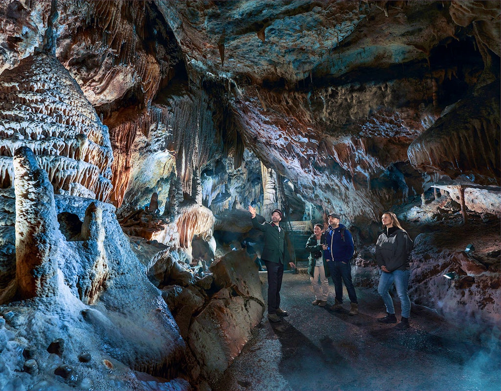 Combiticket voor Grotten van Han en Het Wildpark! 