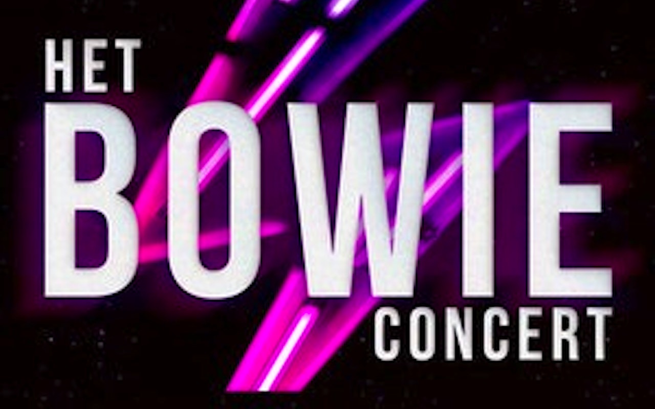 2 tickets voor Het BOWIE Concert in Groningen! 