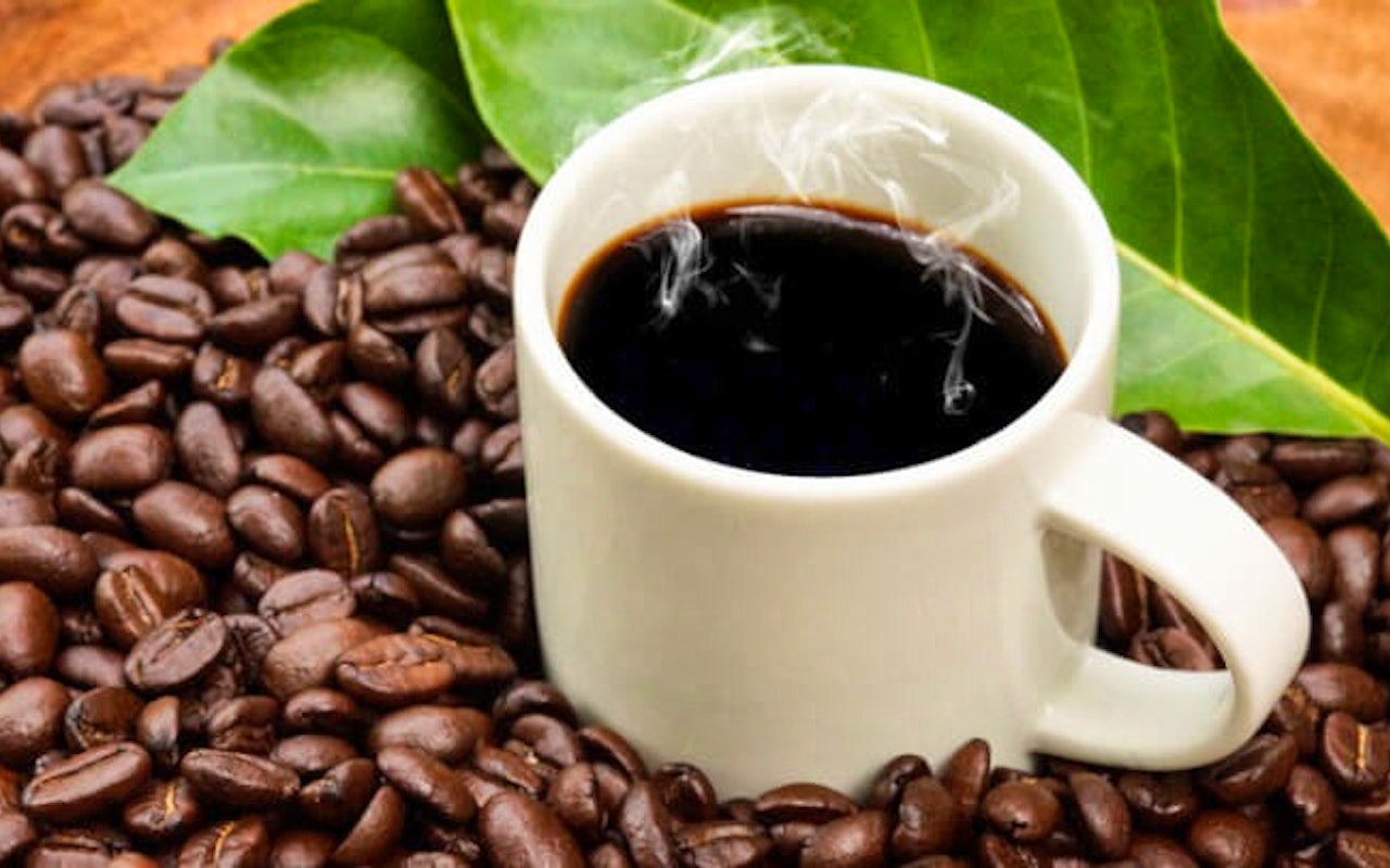 Een set van 2 bijzondere Coffea Arabica koffieplanten!