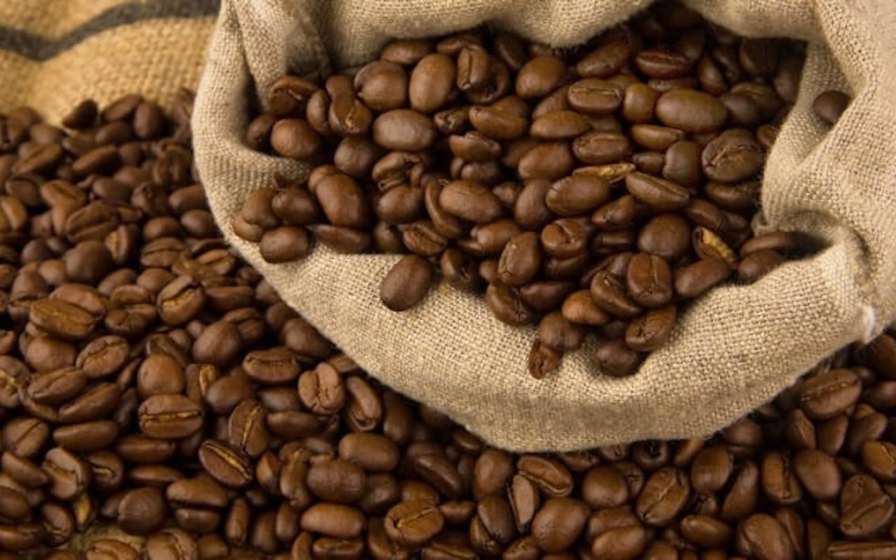 Een set van 2 bijzondere Coffea Arabica koffieplanten!