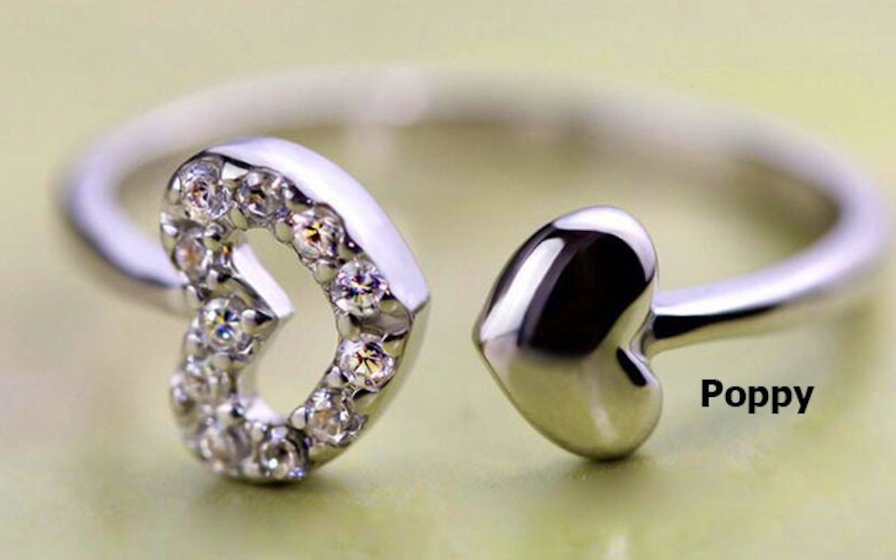 Prachtige ringen van Van Amstel Diamond!